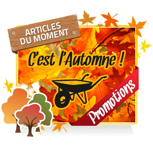 Automne Automne