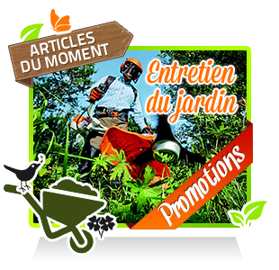 Entretien du jardin Entretien du jardin