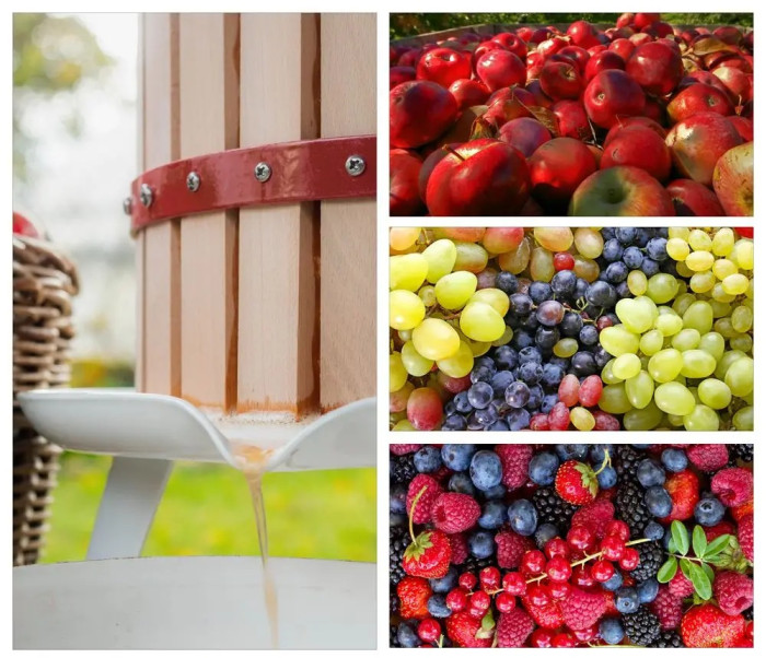 Pressoir à fruits OP 12 - presse à fruits 12 litres Pressoir à fruits OP 12 - presse à fruits 12 litres