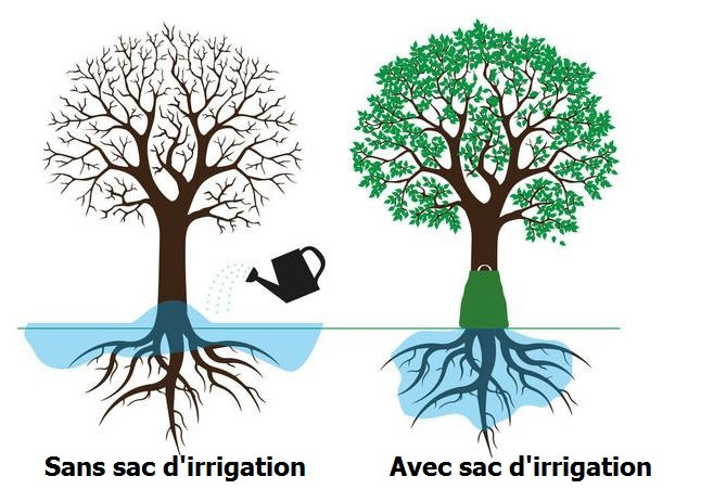 lot de 4 sacs d'irrigation XL pour arbres, 75 l, résistants aux UV